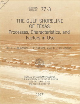 The Gulf Shoreline of Texas: Processes, Characteristics, and Factors in Use