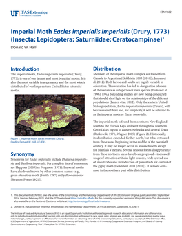 Imperial Moth Eacles Imperialis Imperialis (Drury, 1773) (Insecta: Lepidoptera: Saturniidae: Ceratocampinae)1 Donald W