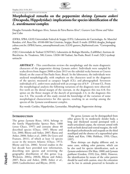 Morphological Remarks on the Peppermint Shrimp Lysmata Ankeri (Decapoda, Hippolytidae): Implications for Species Identification of the L