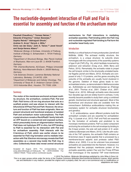 The Nucleotide‐Dependent Interaction of Flah and Flai Is Essential For