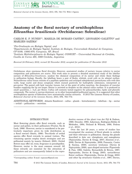 Anatomy of the Floral Nectary of Ornithophilous Elleanthus