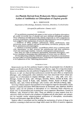 Action of Antibiotics on Chloroplasts of Euglena Gracilis