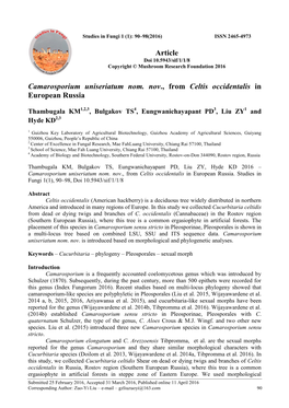 Camarosporium Uniseriatum Nom. Nov., from Celtis Occidentalis in European Russia