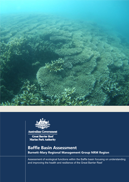 Baffle Basin Assessment Burnett-Mary Regional Management Group NRM Region