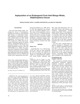 Asphyxiation of an Endangered Cook Inlet Beluga Whale, Delphinapterus Leucas