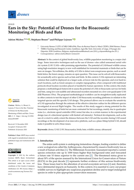 Potential of Drones for the Bioacoustic Monitoring of Birds and Bats