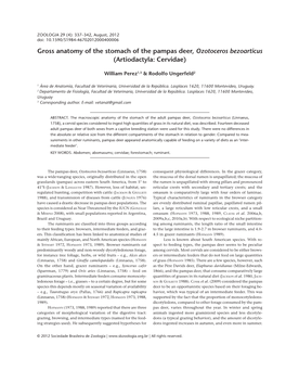 Gross Anatomy of the Stomach of the Pampas Deer, Ozotoceros Bezoarticus (Artiodactyla: Cervidae)