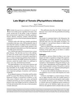 Late Blight of Tomato (Phytophthora Infestans)