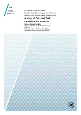 A Study of Fez1 and Fez2: Localization and Knock-Out Helene Bekkeli Schäfer Thesis for the Degree Master of Pharmacy May 2016 Supervisor: Assoc