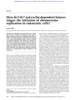 How Do Cdc7 and Cyclin-Dependent Kinases Trigger the Initiation of Chromosome Replication in Eukaryotic Cells?