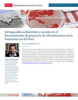 Salvaguardas Ambientales Y Sociales En El Financiamiento De Proyectos De Infraestructura En La Amazonía Sur Del Perú