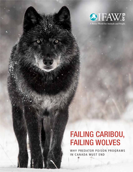 Failing Caribou, Failing Wolves Why Predator Poison Programs in Canada Must End