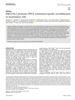 ERCC6L2 Promotes DNA Orientation-Specific