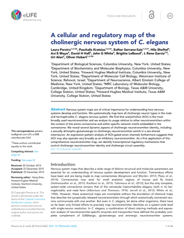 A Cellular and Regulatory Map of the Cholinergic Nervous System of C