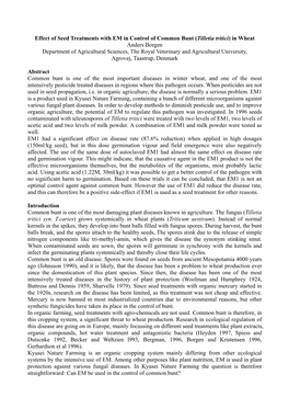 Effect of Seed Treatments with EM in Control of Common