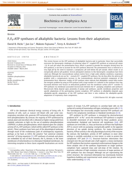 F1F0-ATP Synthases of Alkaliphilic Bacteria: Lessons from Their Adaptations David B