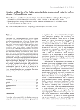 Structure and Function of the Feeding Apparatus in the Common Musk Turtle Sternotherus Odoratus (Chelonia, Kinosternidae)