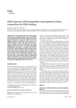 ZAS3 Represses Nfκb-Dependent Transcription by Direct Competition for DNA Binding