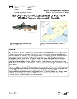 RECOVERY POTENTIAL ASSESSMENT of NORTHERN MADTOM (Noturus Stigmosus) in CANADA