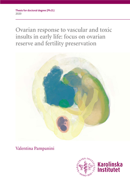 Focus on Ovarian Reserve and Fertility Preservation