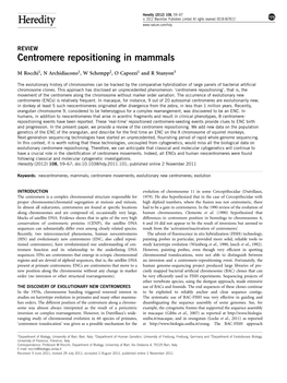 Centromere Repositioning in Mammals