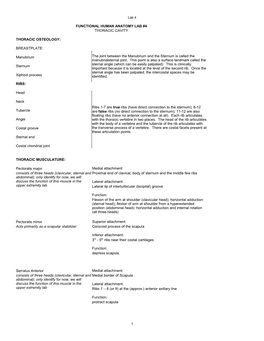 BREASTPLATE: Sternum RIBS