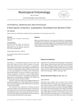 A New Species of Alucita L.(Lepidoptera: Alucitidae) From