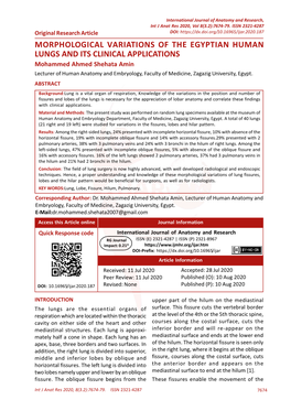 Morphological Variations of the Egyptian Human Lungs and Its