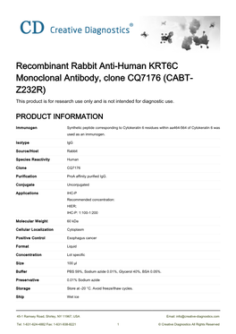 Recombinant Rabbit Anti-Human KRT6C Monoclonal Antibody, Clone CQ7176 (CABT- Z232R) This Product Is for Research Use Only and Is Not Intended for Diagnostic Use
