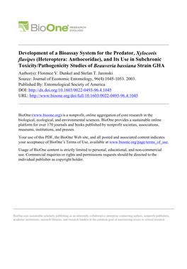 Development of a Bioassay System for the Predator, Xylocoris Flavipes