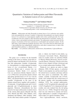 Quantitative Variation of Anthocyanins and Other Flavonoids in Autumn Leaves of Acer Palmatum