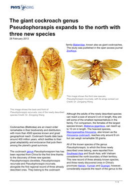 The Giant Cockroach Genus Pseudophoraspis Expands to the North with Three New Species 28 February 2013