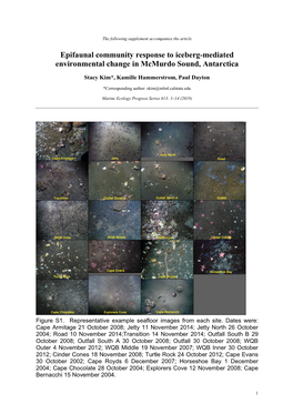 Epifaunal Community Response to Iceberg-Mediated Environmental Change in Mcmurdo Sound, Antarctica