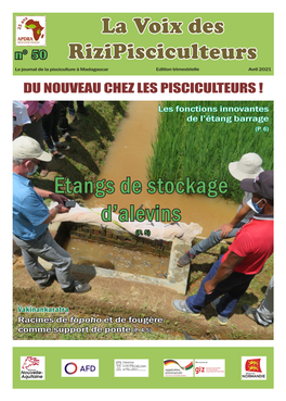 Etangs De Stockage D'alevins