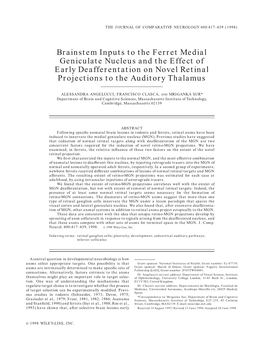 Brainstem Inputs to the Ferret Medial Geniculate Nucleus and the Effect of Early Deafferentation on Novel Retinal Projections to the Auditory Thalamus