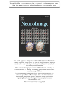 2008 Neuroimage 42 Dorr.Pdf