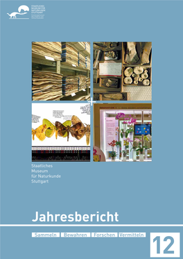 Jahresbericht 2012