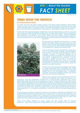 Trees in the Tropics