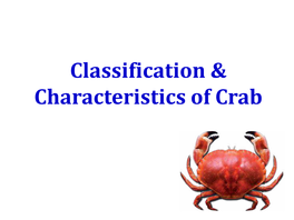 Classification & Characteristics of Crab