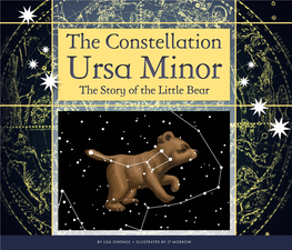 The Constellation the Constellation