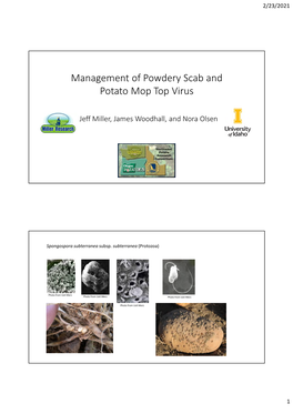 Powdery Scab and PMTV