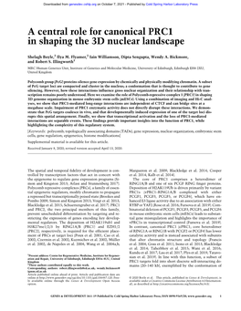A Central Role for Canonical PRC1 in Shaping the 3D Nuclear Landscape