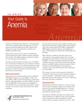 Your Guide to Anemia