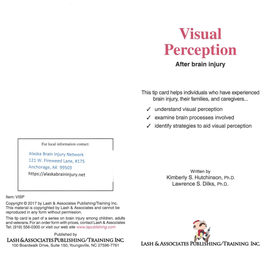 Visual Perception After Brain Injury