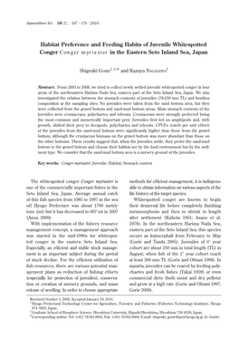 Habitat Preference and Feeding Habits of Juvenile Whitespotted Conger Conger Myriaster in the Eastern Seto Inland Sea, Japan