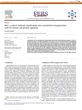 Abi1, a Critical Molecule Coordinating Actin Cytoskeleton Reorganization with PI-3 Kinase and Growth Signaling ⇑ Leszek Kotula