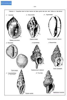 X0169F61.Pdf