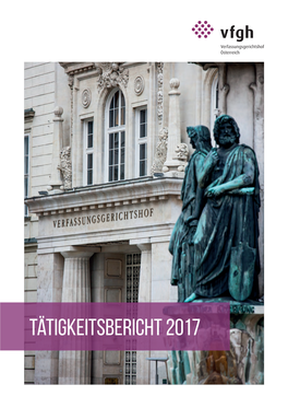 Tätigkeitsbericht 2017