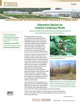 Alternative Options for Invasive Landscape Plants