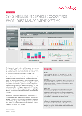 Synq Intelligent Services ¦ Cockpit for Warehouse Management Systems